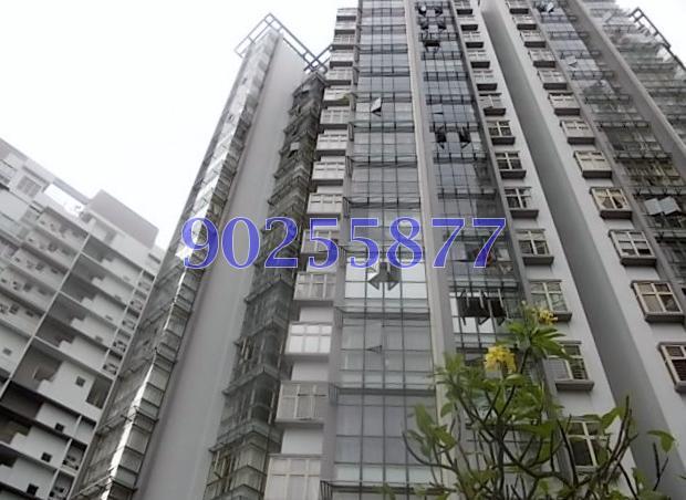 Mandale Heights (D11), Apartment #115318872